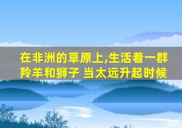 在非洲的草原上,生活着一群羚羊和狮子 当太远升起时候